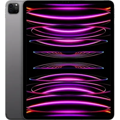 iPad Pro 12,9 Zoll 6. Generation Reparatur Berlin-Buch